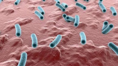 الدوسنتاريا.. عدوى يمكن أن تنتقل للرئتين