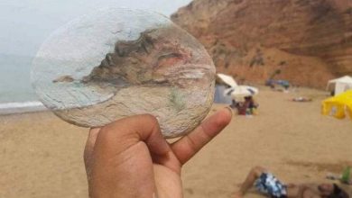 12 صورة تجسد الإبداع بأبسط الأشياء