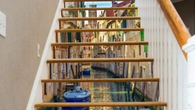 صور طريفة لأشياء تبدو خبيرة في الإدعاء