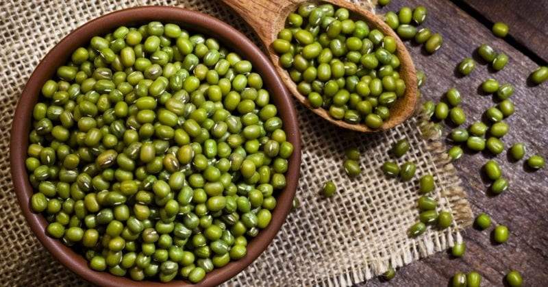 فوائد الماش.. منافع يجهلها الكثير وآثار جانبية لا يمكن تجاهلها