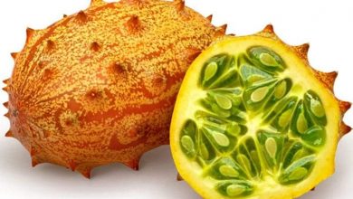 فاكهة الكيوانو.. فوائد مثالية وراء المظهر العجيب