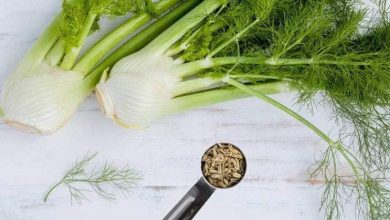 فوائد البسباس