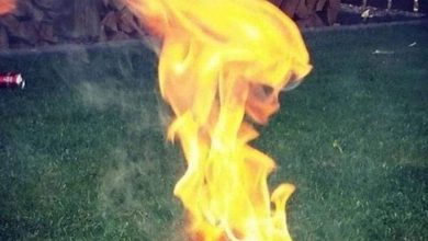 صور مربكة تجعلك مشتتا بين الواقع والخيال