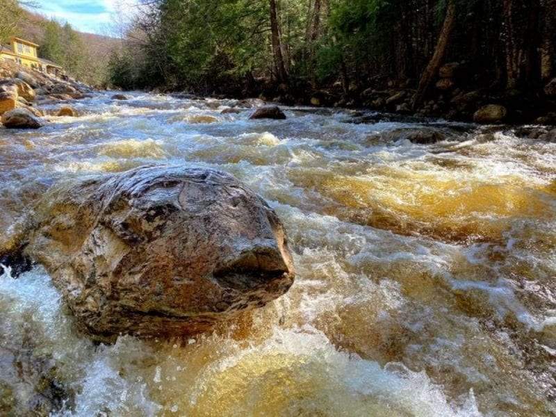صور مفاجئة.. فقط إن نظرت إليها بتركيز