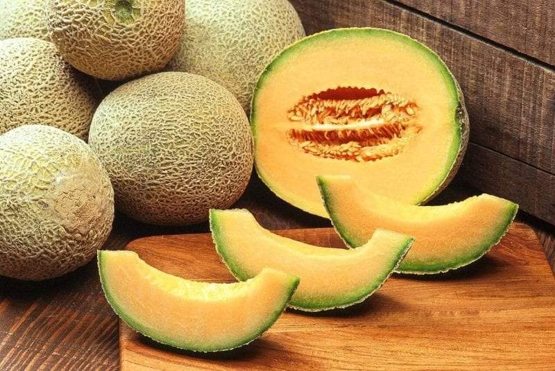 فوائد الشمام.. بين دعم الحوامل والوقاية من أخطر الأمراض