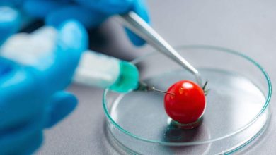 الكيمياء العضوية.. كيف تؤثر على حياة البشر يوميا دون أن يلاحظوا؟