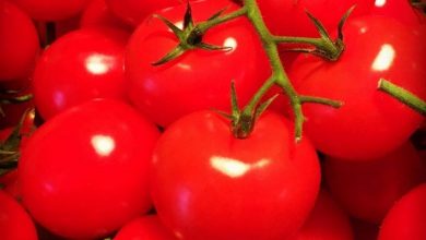 فوائد الطماطم الكرزية للكبار والصغار