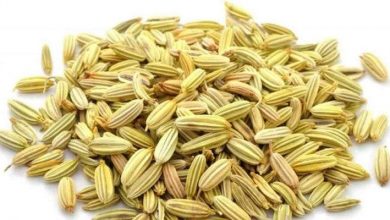 علاج الإسهال.. وأبرز فوائد الشمر