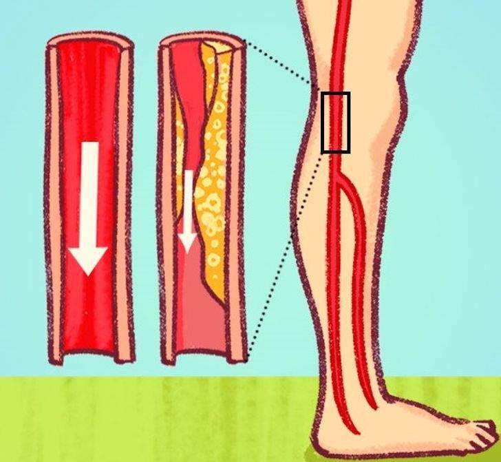 صور طريفة للقطط.. وكأنها كائنات فضائية