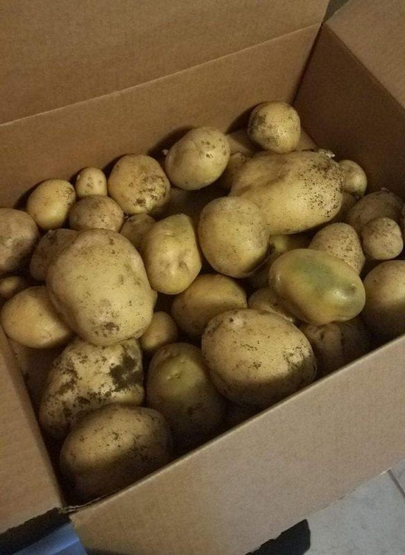 أطعمة مفيدة قد تضر بالصحة أحيانا