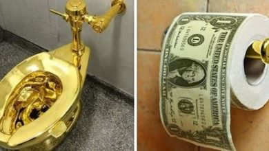 أغلى الأشياء العادية.. تحتاج ثروة للحصول عليها