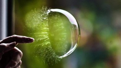 صور مثالية لم يخطط لها