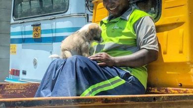 صور مبهجة تصيبك بالسعادة المفاجئة