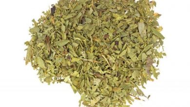 فوائد عشبة السنامكي.. راحة للمعدة وتجميل للشعر والبشرة