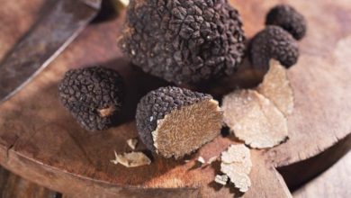 فوائد الفقع.. كيف يحمي الكمأ محبيه من الأمراض؟