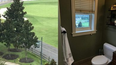 صور طريفة يستحق أصحابها التعاطف