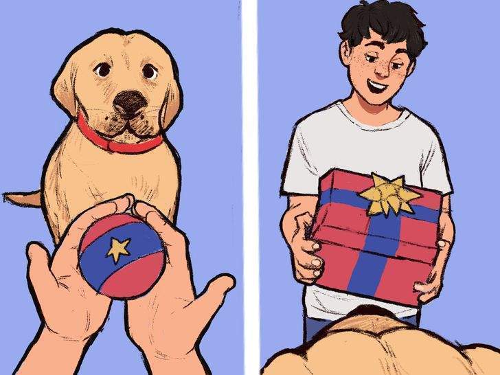 لعق الوجوه ومطاردة الذيل.. وأشهر سلوكيات الكلاب وتفسيراتها