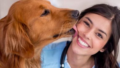 لعق الوجوه ومطاردة الذيل.. وأشهر سلوكيات الكلاب وتفسيراتها