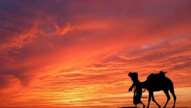 زهير بن أبي سلمى.. شاعر الجاهلية الذي دعا للإسلام من قبل ظهوره