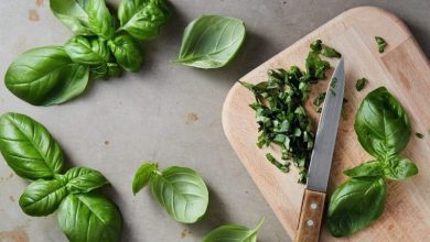 فوائد الحبق.. جمالية ونفسية ووقائية من الأمراض