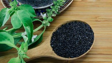 تطهير السموم.. وأهم فوائد بذور الريحان