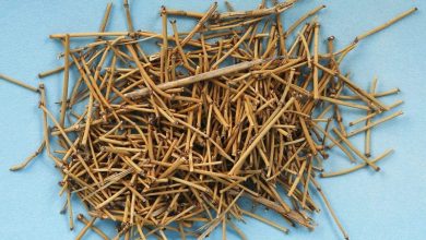 عشبة العلندة.. فوائد ممكنة وأضرار مفزعة