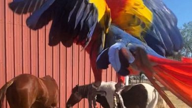 لقطات تحفز على حك الرأس من الحيرة