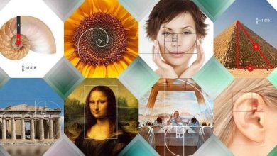 النسبة الذهبية.. مجالات متعددة وإبداع في التصميم