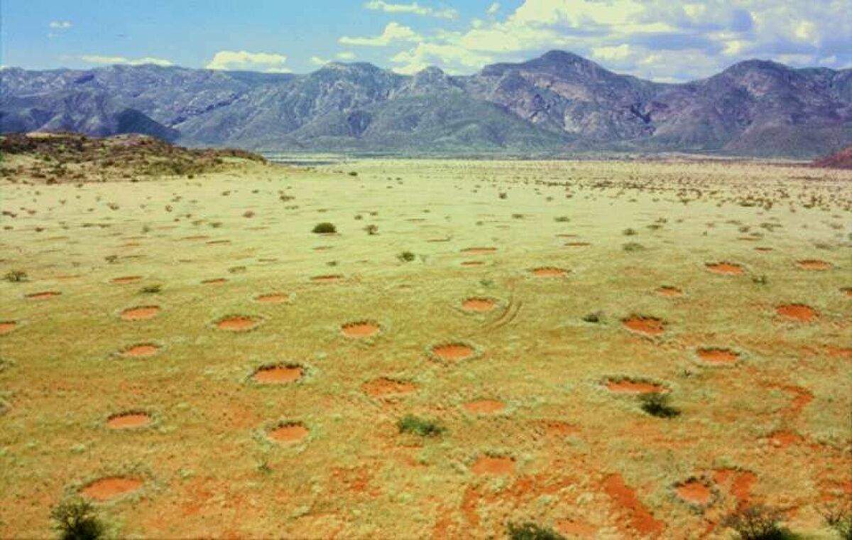 دوائر الجنيات.. هل شكّل النمل الأبيض ملامح صحراء ناميبيا الغامضة؟