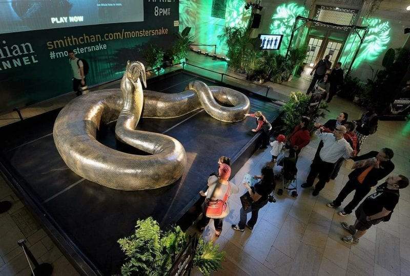 تيتانوبوا.. ثعبان بحجم ديناصور وافتراس بقوة 1000 عضة سامة