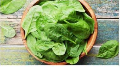طريقة تخزين السبانخ في البراد وأبرز فوائدها