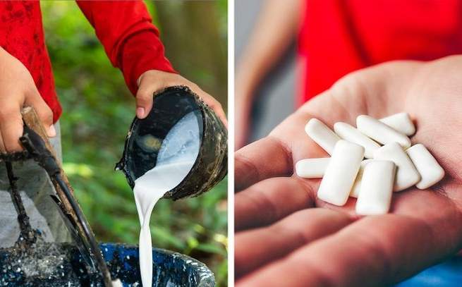 سائل العلكة وثمرة الكولا.. وكيف تبدو أشهر المنتجات قبل أن تصل إلينا؟ كيف تبدو أشهر المنتجات قبل أن تصل إلينا؟