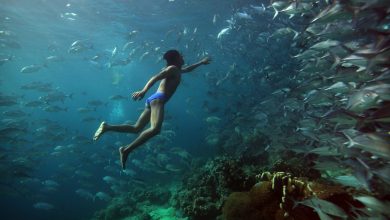 قبائل الباجاو.. وطفرة جينية تجعل الغوص أسهل من المشي