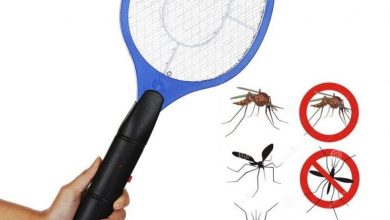 الأضواء البيضاء.. وأبرز أسباب وجود الحشرات في المنزل