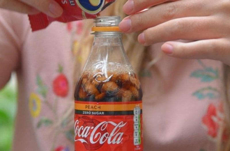 سائل العلكة وثمرة الكولا.. وكيف تبدو أشهر المنتجات قبل أن تصل إلينا؟ كيف تبدو أشهر المنتجات قبل أن تصل إلينا؟