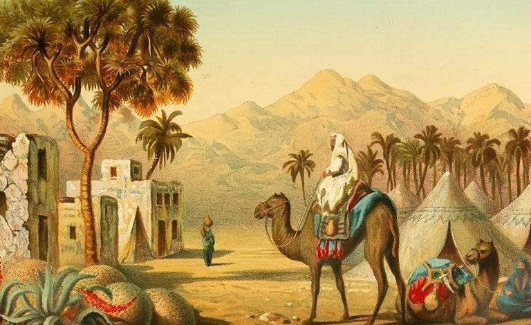 بريرة.. المرأة التي رفضت شفاعة النبي