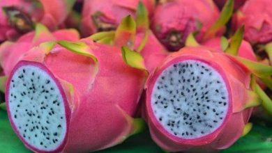 أغرب الفواكه والخضروات في العالم