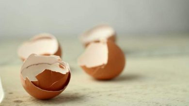 استخدامات غريبة لقشر البيض
