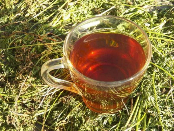 فوائد بذور الجزر
