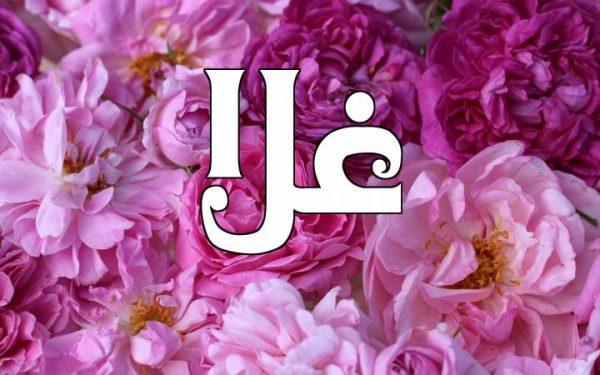 معنى اسم غلا وأهم الصفات الشخصية لحاملته معنى اسم غلا