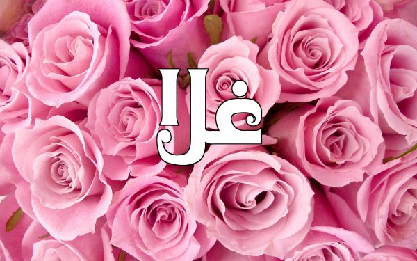 معنى اسم غلا