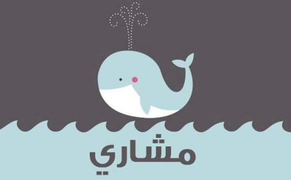 معنى اسم مشاري في اللغة وعلم النفس معنى اسم مشاري