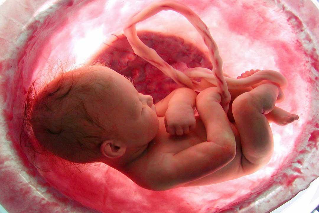 أعراض الحمل خارج الرحم