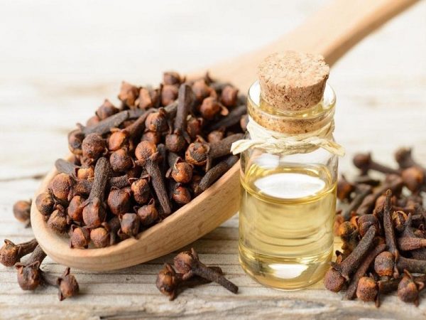 زيت القرنفل للتخسيس