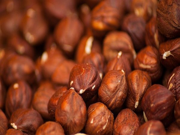 فوائد البندق للتخسيس ومكوناته