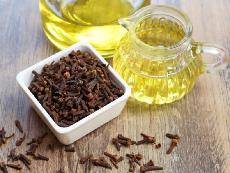 زيت القرنفل للتخسيس وأضراره