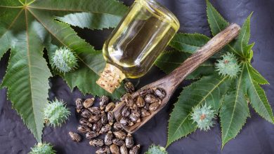 فوائد زيت الخروع للحية