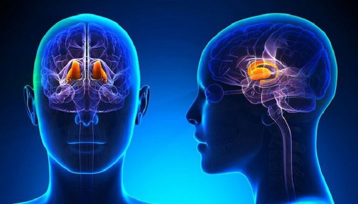 نقص إفراز الغدة النخامية