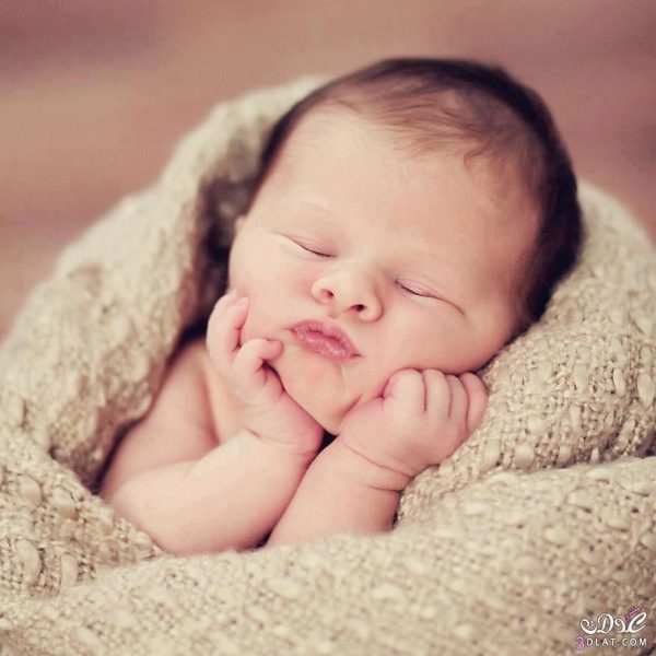 معنى اسم تيم في اللغة العربية وأشهر من تسمى به زخرفة اسم تيم