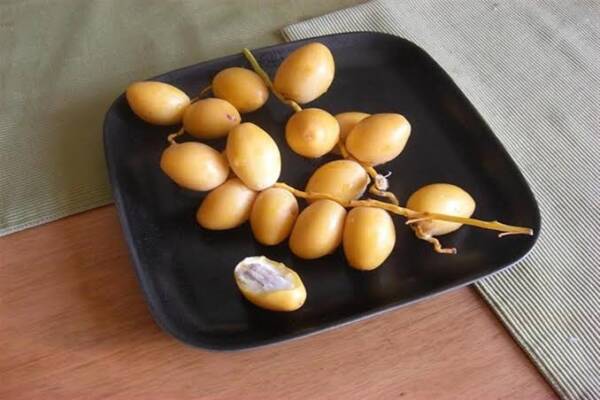 السعرات الحرارية في البلح الاصفر